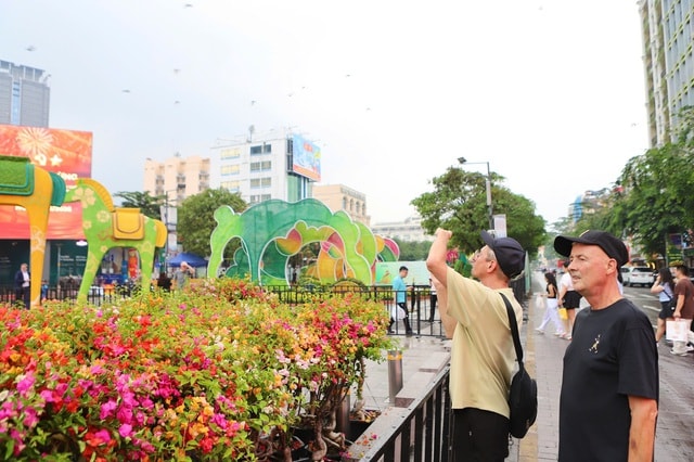 Cận cảnh linh vật ngựa tại Đường hoa Nguyễn Huệ- Ảnh 15. Cận cảnh linh vật ngựa tại Đường hoa Nguyễn Huệ- Ảnh 15.