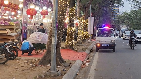 Chợ hoa Tết Tây Hồ: Đường phố thông thoáng, tiểu thương buôn bán trong trật tự- Ảnh 5.