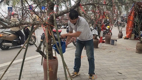 Chợ hoa Tết Tây Hồ: Đường phố thông thoáng, tiểu thương buôn bán trong trật tự- Ảnh 2.