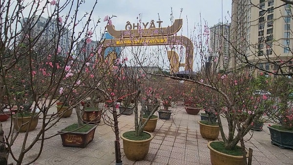 Chợ hoa Tết Tây Hồ: Đường phố thông thoáng, tiểu thương buôn bán trong trật tự- Ảnh 8.