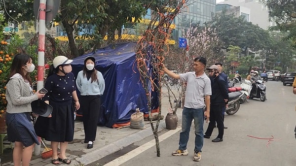 Chợ hoa Tết Tây Hồ: Đường phố thông thoáng, tiểu thương buôn bán trong trật tự- Ảnh 9.