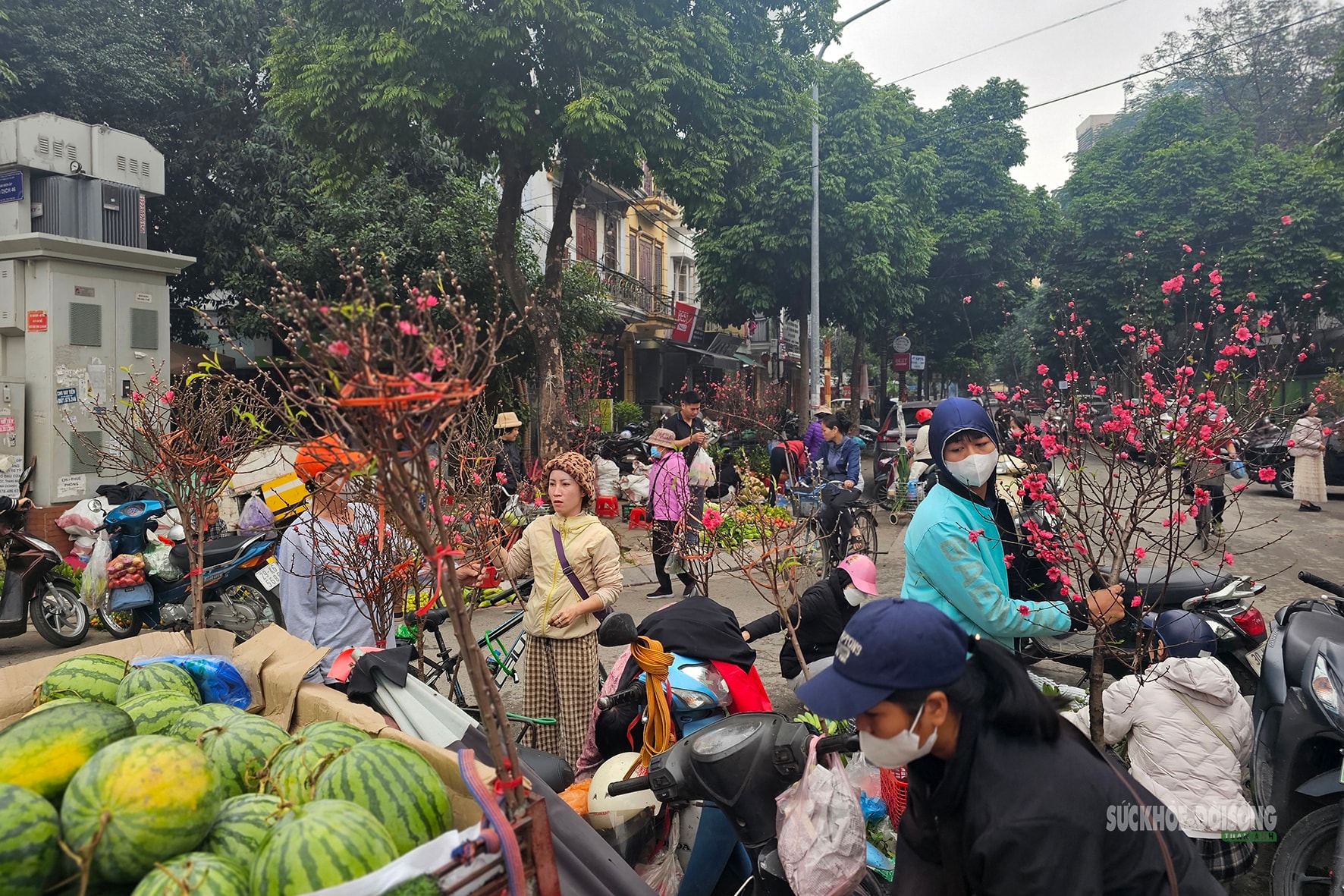 Sắc màu Tết quê giữa lòng Thủ đô- Ảnh 2. Sắc màu Tết quê giữa lòng Thủ đô- Ảnh 2.