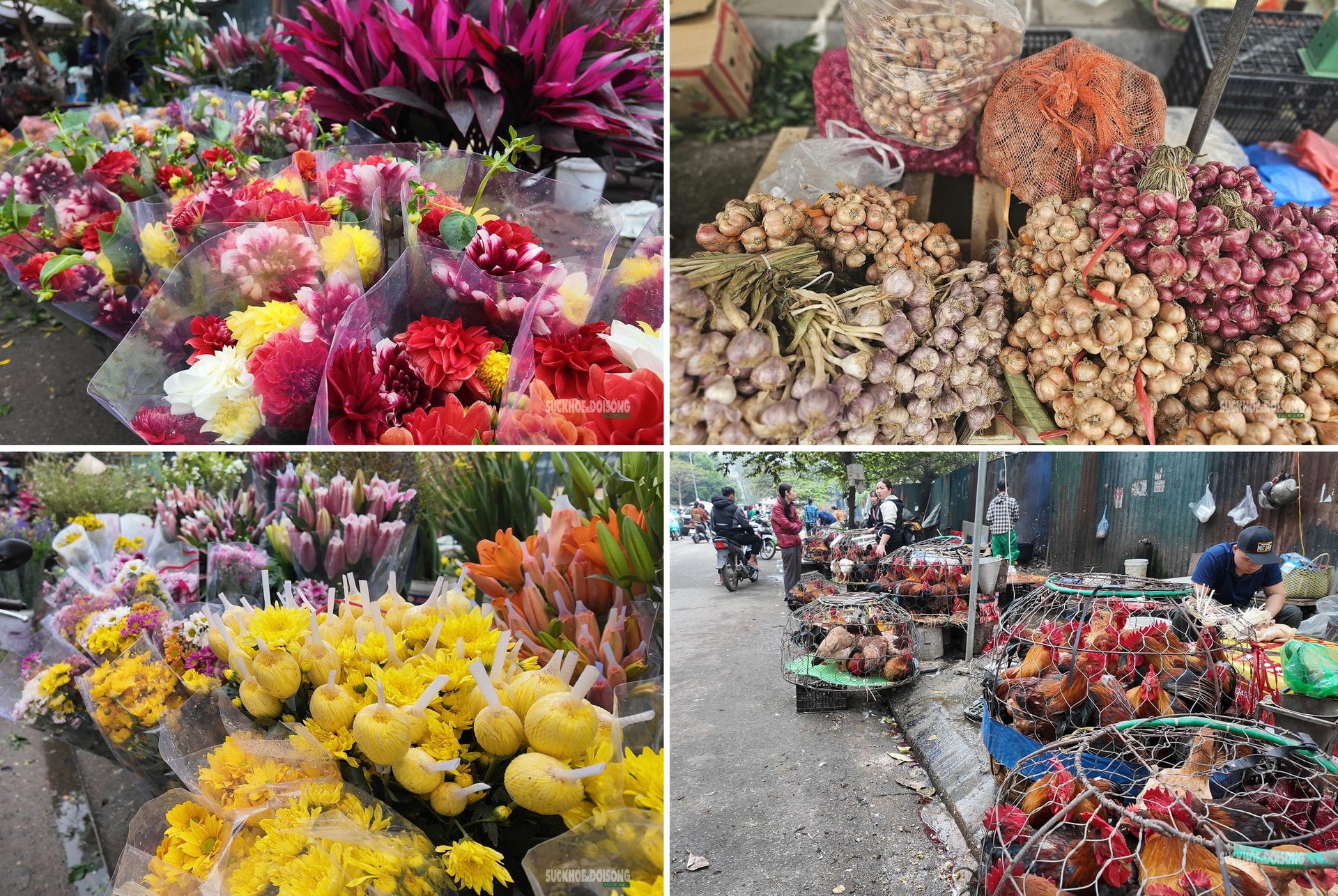 Sắc màu Tết quê giữa lòng Thủ đô- Ảnh 8. Sắc màu Tết quê giữa lòng Thủ đô- Ảnh 8.