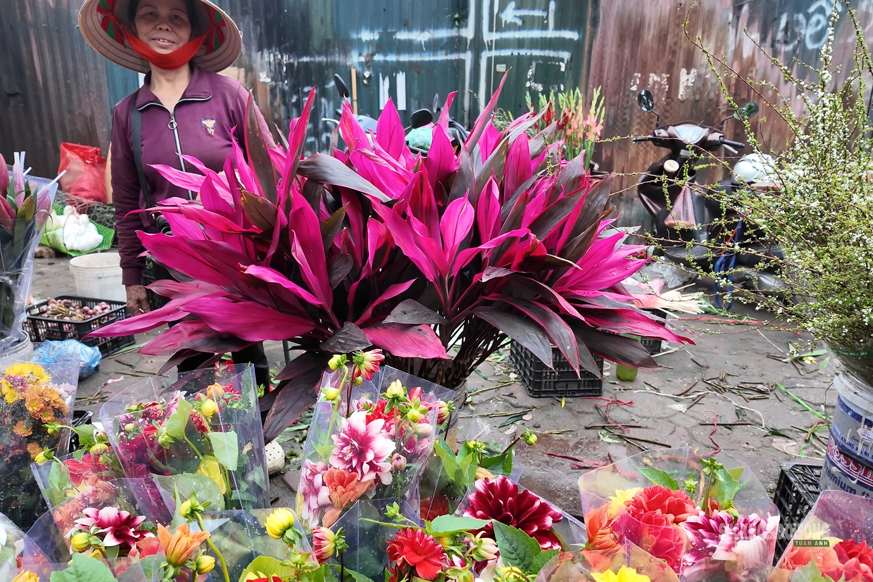 Sắc màu Tết quê giữa lòng Thủ đô- Ảnh 7. Sắc màu Tết quê giữa lòng Thủ đô- Ảnh 7.