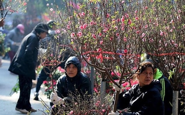 Miền Bắc tăng nhiệt, hửng nắng vào trưa chiều- Ảnh 1. Miền Bắc tăng nhiệt, hửng nắng vào trưa chiều- Ảnh 1.