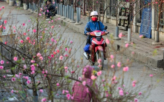 Các tỉnh thành phải chủ động ứng phó với thời tiết xấu dịp nghỉ Tết Nguyên đán 2026- Ảnh 1.