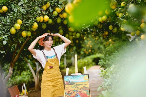 Mộc Châu khoác áo xuân: Trắng đồi mận, xanh đồi chè- Ảnh 5.