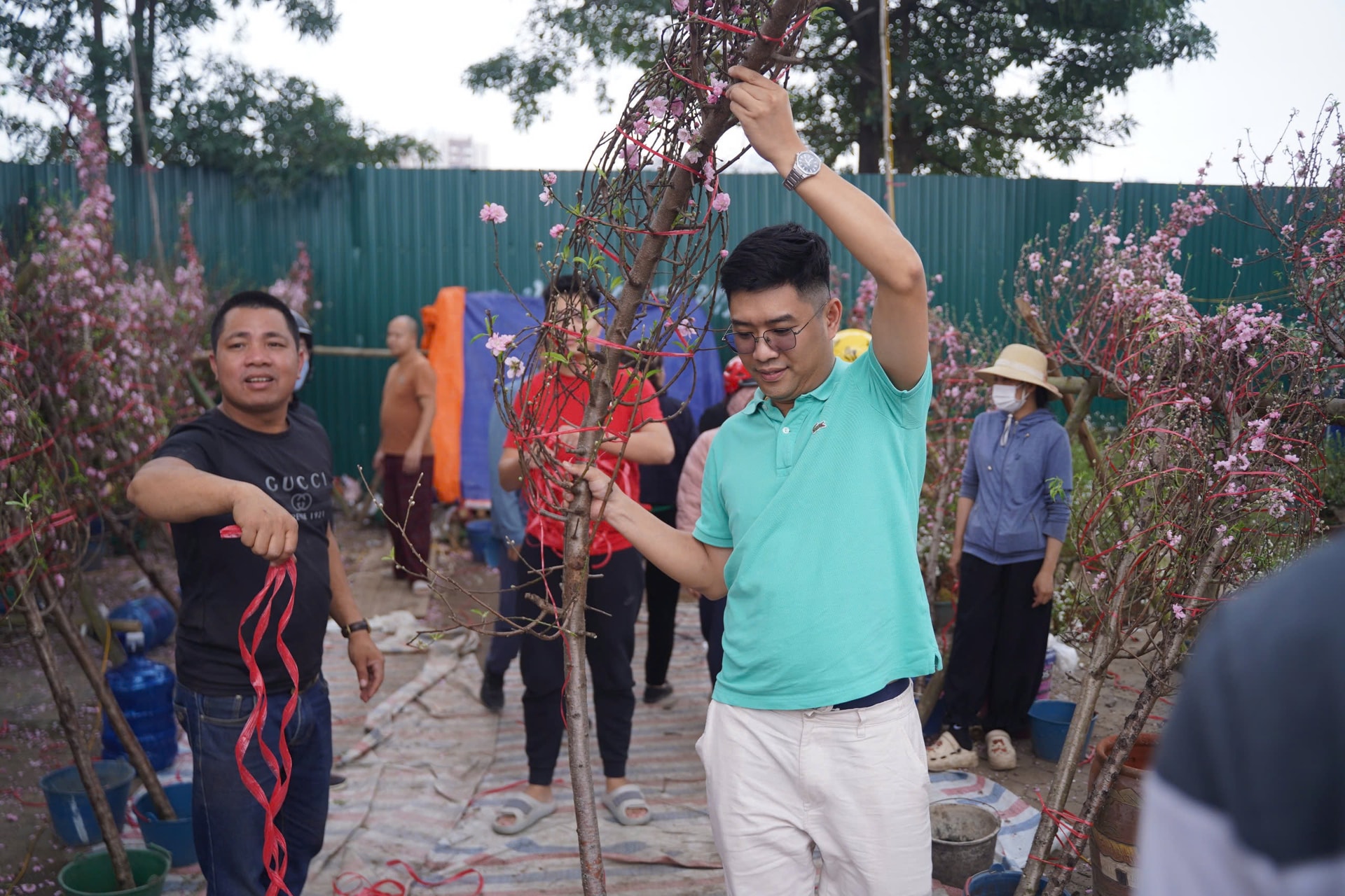 Người dân háo hức đi săn đào quất 