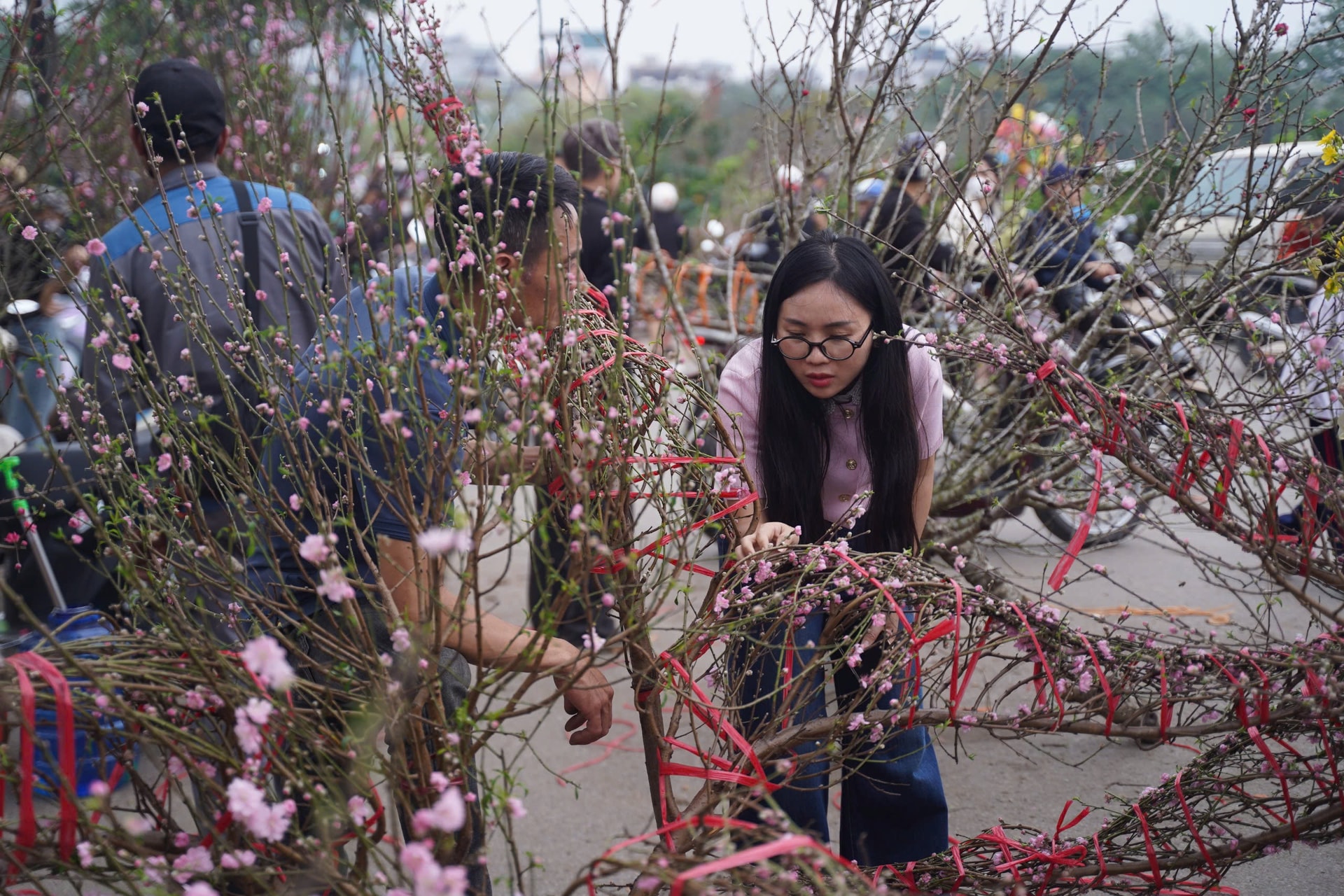 Người dân háo hức đi săn đào quất 