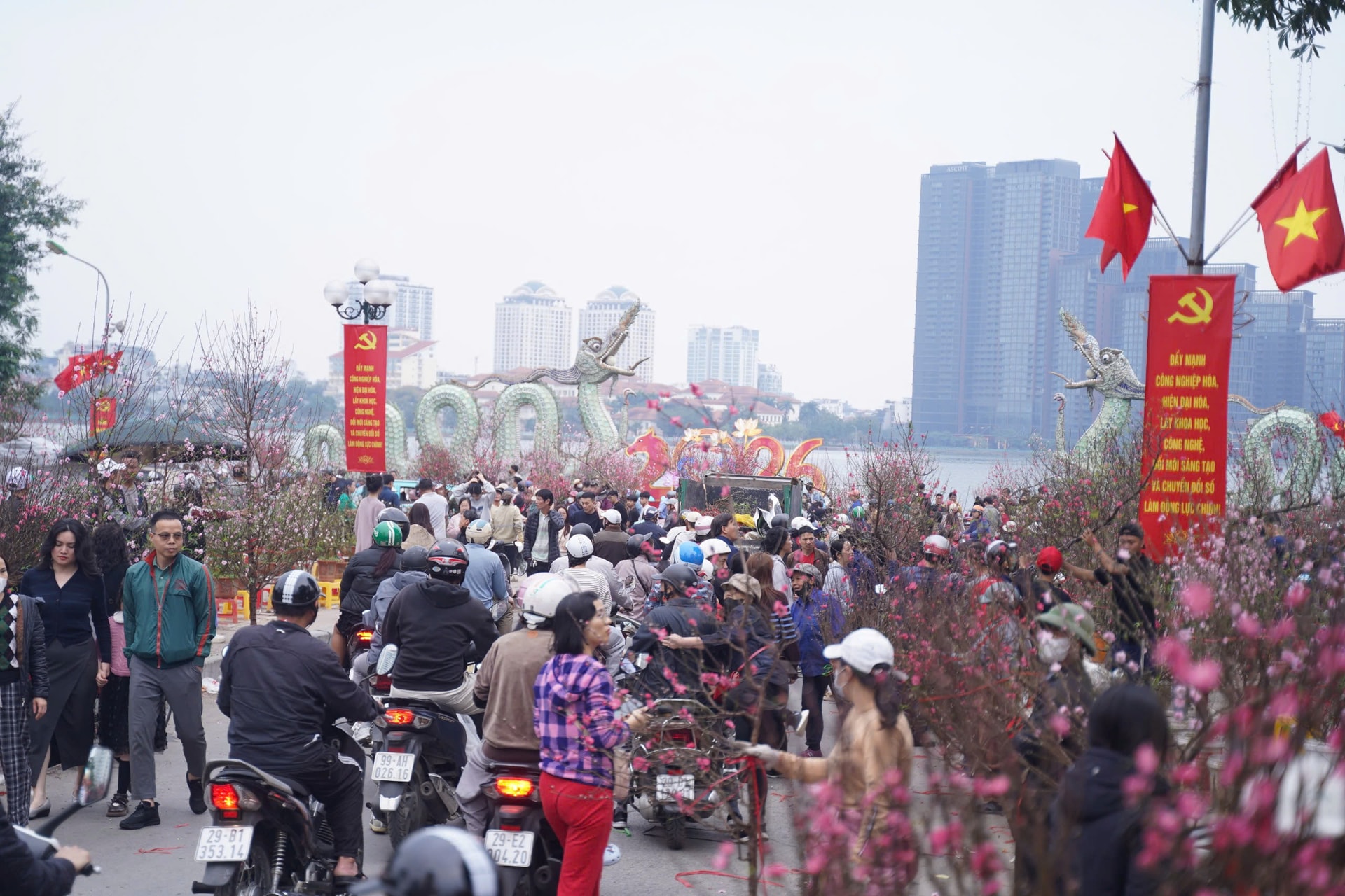 Người dân háo hức đi săn đào quất 