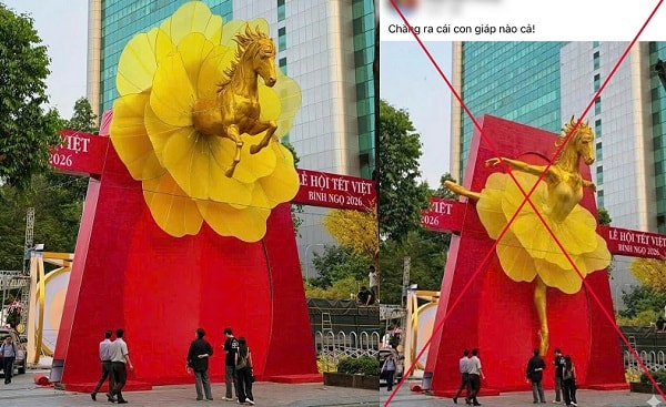 Đăng ảnh ‘ngựa mặc váy’ gây bão mạng, người đàn ông ở Đà Nẵng bị phạt 7,5 triệu đồng- Ảnh 1.