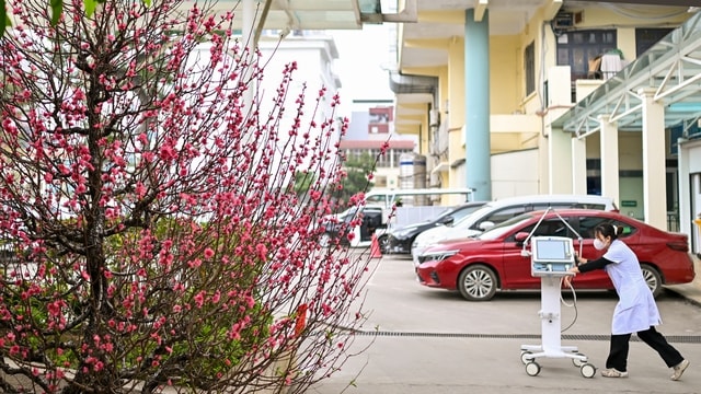 Tết bệnh viện (1): Những người giữ nhịp sống- Ảnh 2. Tết bệnh viện (1): Những người giữ nhịp sống- Ảnh 2.