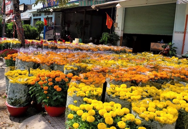 Người dân TPHCM nô nức trang hoàng nhà cửa, tất bật sắm mai, đào đón Tết- Ảnh 1.