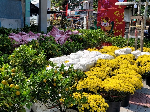 Người dân TPHCM nô nức trang hoàng nhà cửa, tất bật sắm mai, đào đón Tết- Ảnh 6.