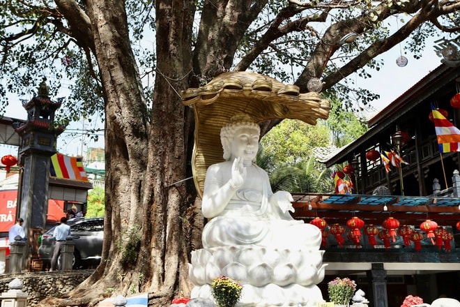 Rộn ràng chụp ảnh Tết tại ngôi chùa cuối cùng Việt Nam được phong Sắc tứ- Ảnh 14. Rộn ràng chụp ảnh Tết tại ngôi chùa cuối cùng Việt Nam được phong Sắc tứ- Ảnh 14.