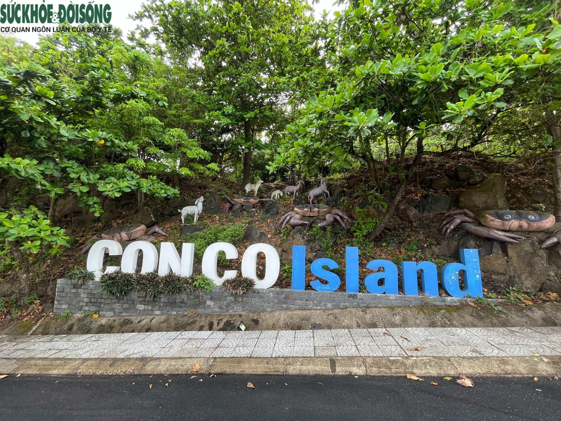 Tết bệnh viện (4): Những 'chiến sĩ áo trắng' nơi đảo tiền tiêu- Ảnh 1.