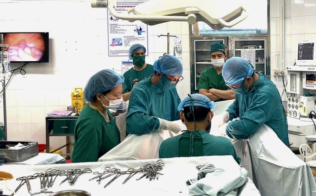 Trong dịp đoàn viên, những cuộc 