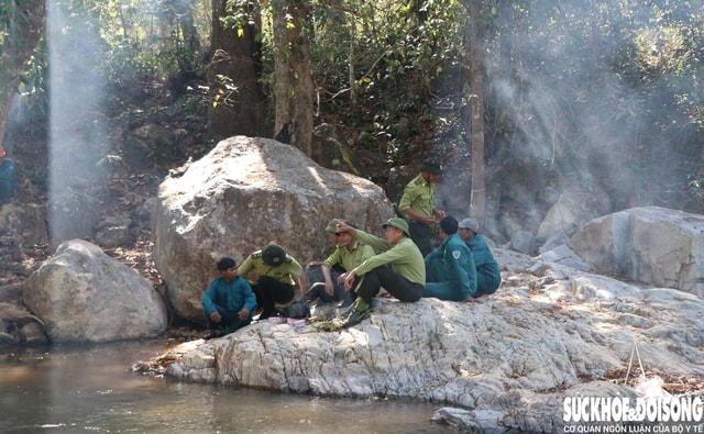 Giữ 'lá phổi xanh' bình yên trong những ngày Tết- Ảnh 5.