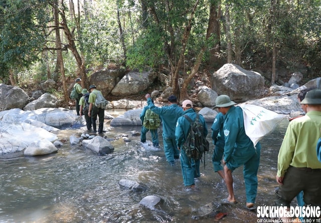 Giữ 'lá phổi xanh' bình yên trong những ngày Tết- Ảnh 1.