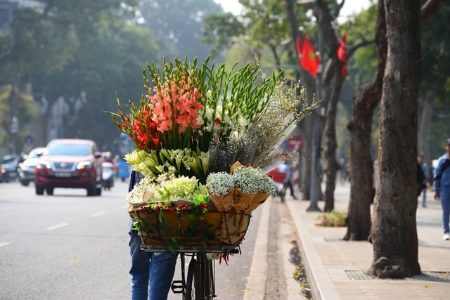 Không khí lạnh về muộn hơn dự báo, Hà Nội nắng ấm 28 độ ngày 29 Tết- Ảnh 1.