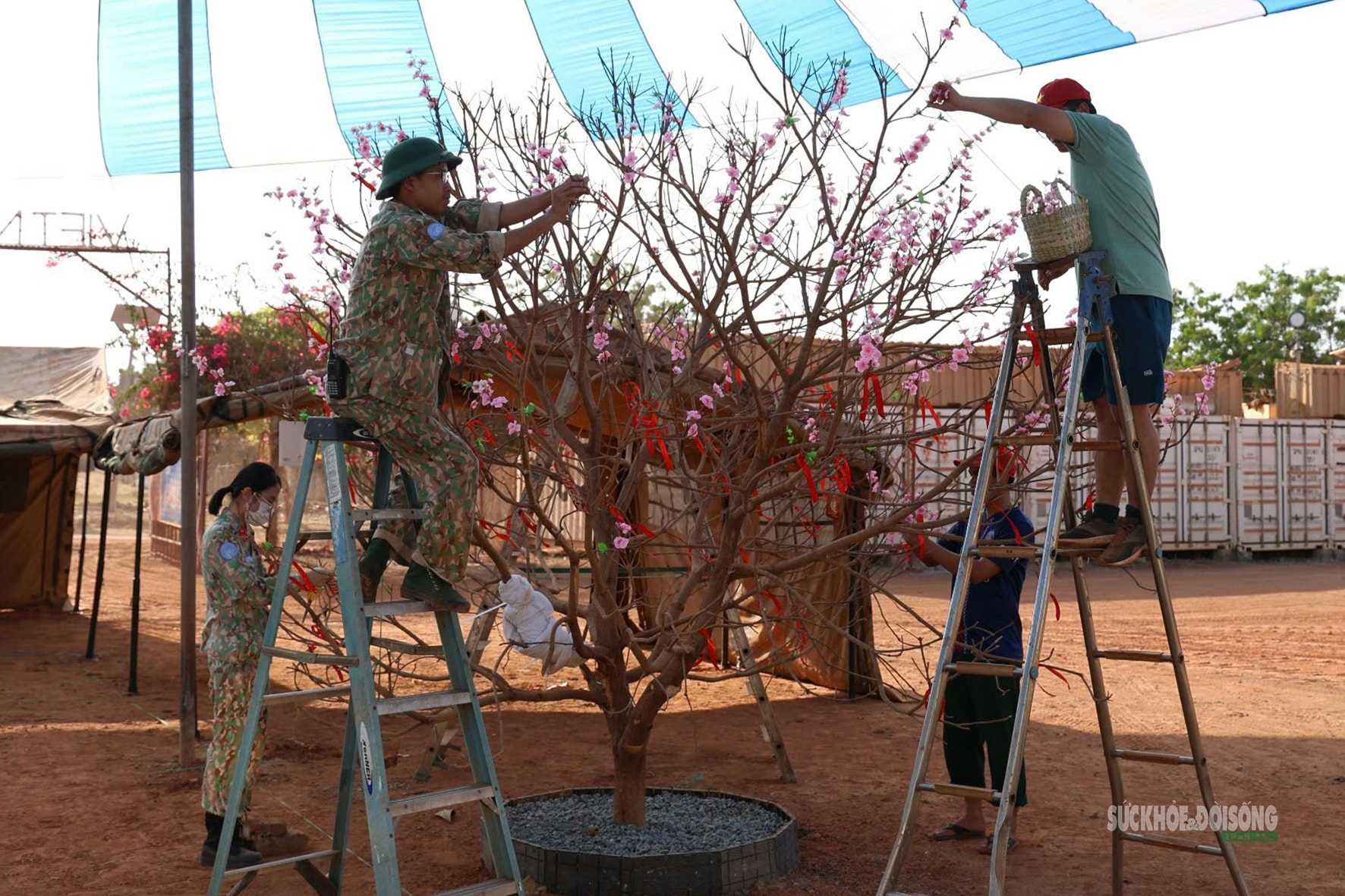 Bác sĩ Việt Nam tại Phái bộ Liên Hợp Quốc giữ trọn hương Xuân- Ảnh 1.