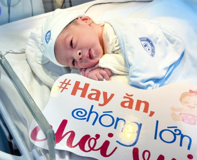 Ngắm 'chàng Ngựa vàng' 'xông đất' Bệnh viện Phụ sản Trung ương - Ảnh 3. Ngắm 'chàng Ngựa vàng' 'xông đất' Bệnh viện Phụ sản Trung ương - Ảnh 3.