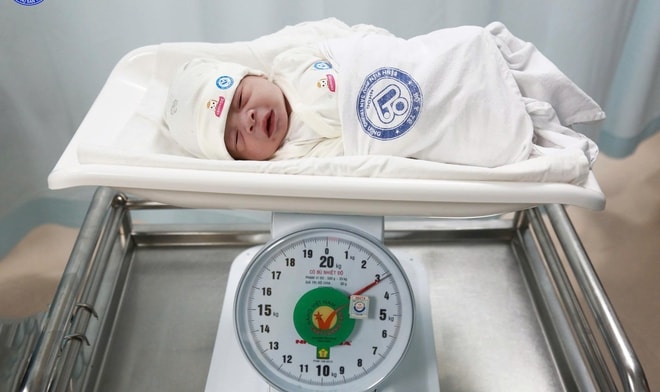 Ngắm 'chàng Ngựa vàng' 'xông đất' Bệnh viện Phụ sản Trung ương - Ảnh 2. Ngắm 'chàng Ngựa vàng' 'xông đất' Bệnh viện Phụ sản Trung ương - Ảnh 2.