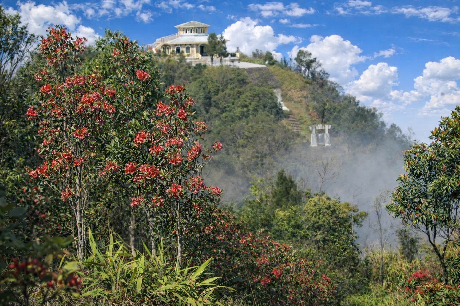 Say đắm sắc hoa mùa xuân giữa đại ngàn Bạch Mã- Ảnh 9.