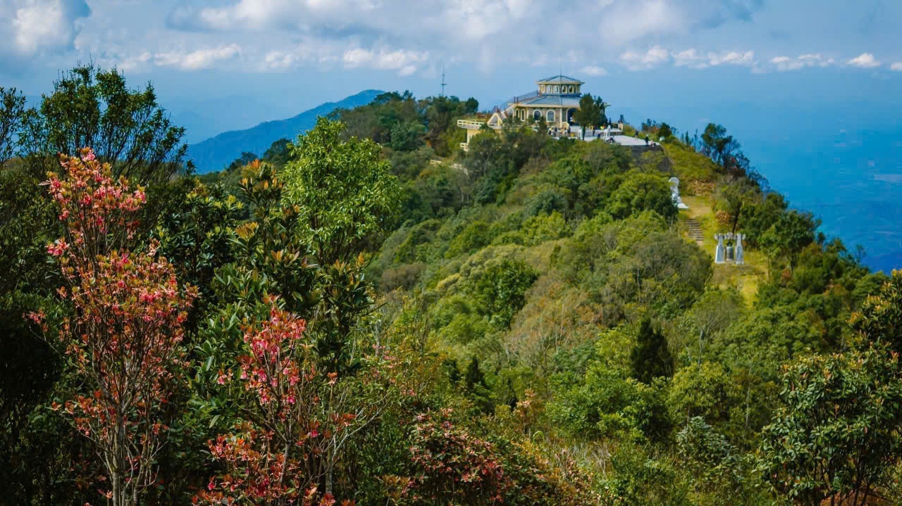 Say đắm sắc hoa mùa xuân giữa đại ngàn Bạch Mã- Ảnh 2.