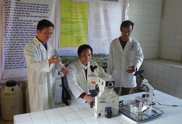 Nghiên cứu và bảo tồn giống ngựa Việt Nam: Giữ nguồn gen quý giữa nhiều thách thức- Ảnh 3.