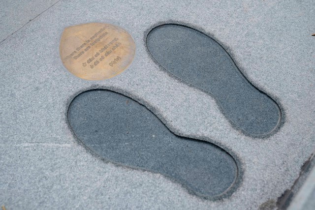 'Biểu tượng xanh' mới của TPHCM – giữ từng gốc cây, bảo tồn từng chi tiết cổ- Ảnh 4.