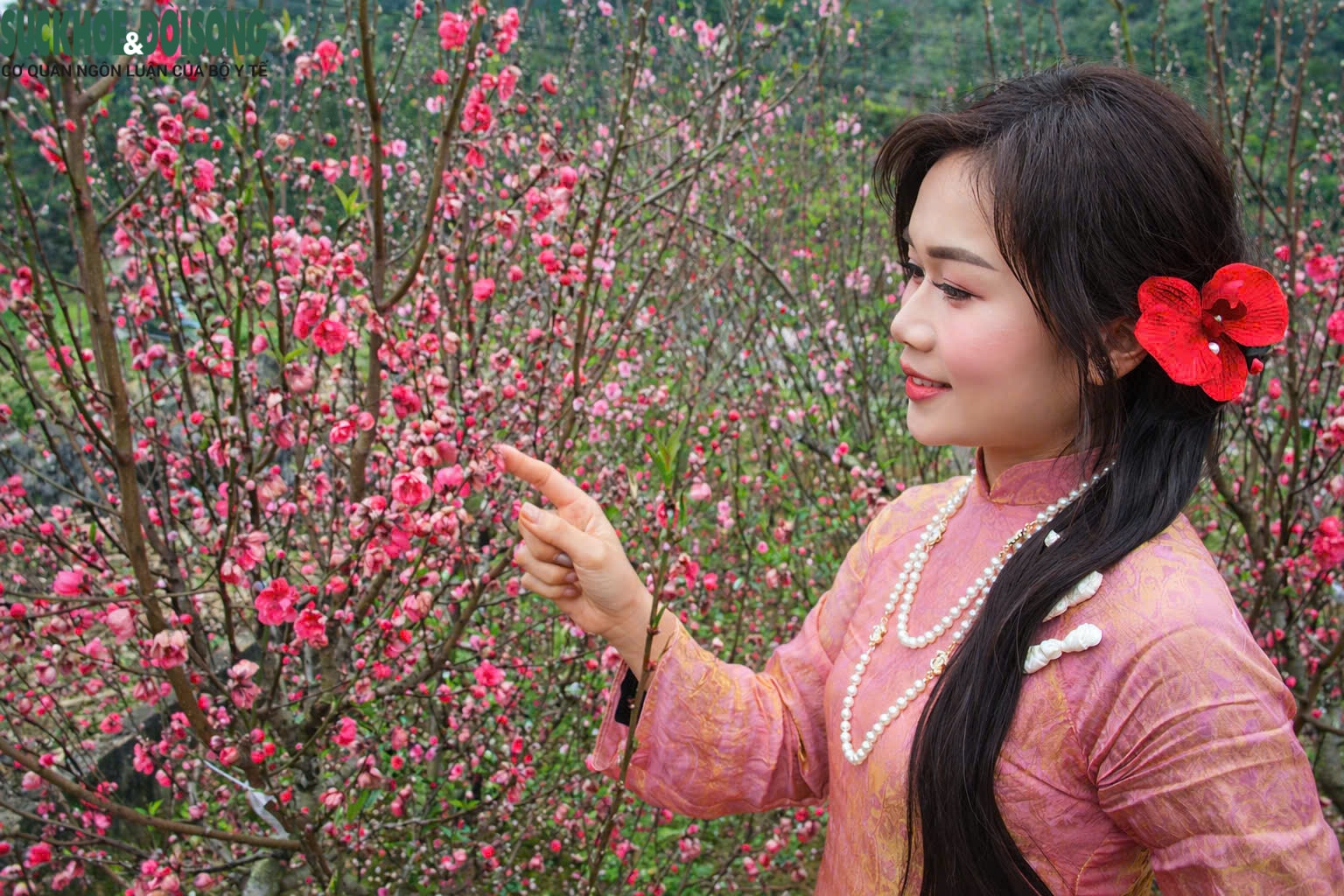 Xuân thức giấc trên cao nguyên đá Đồng Văn- Ảnh 5.