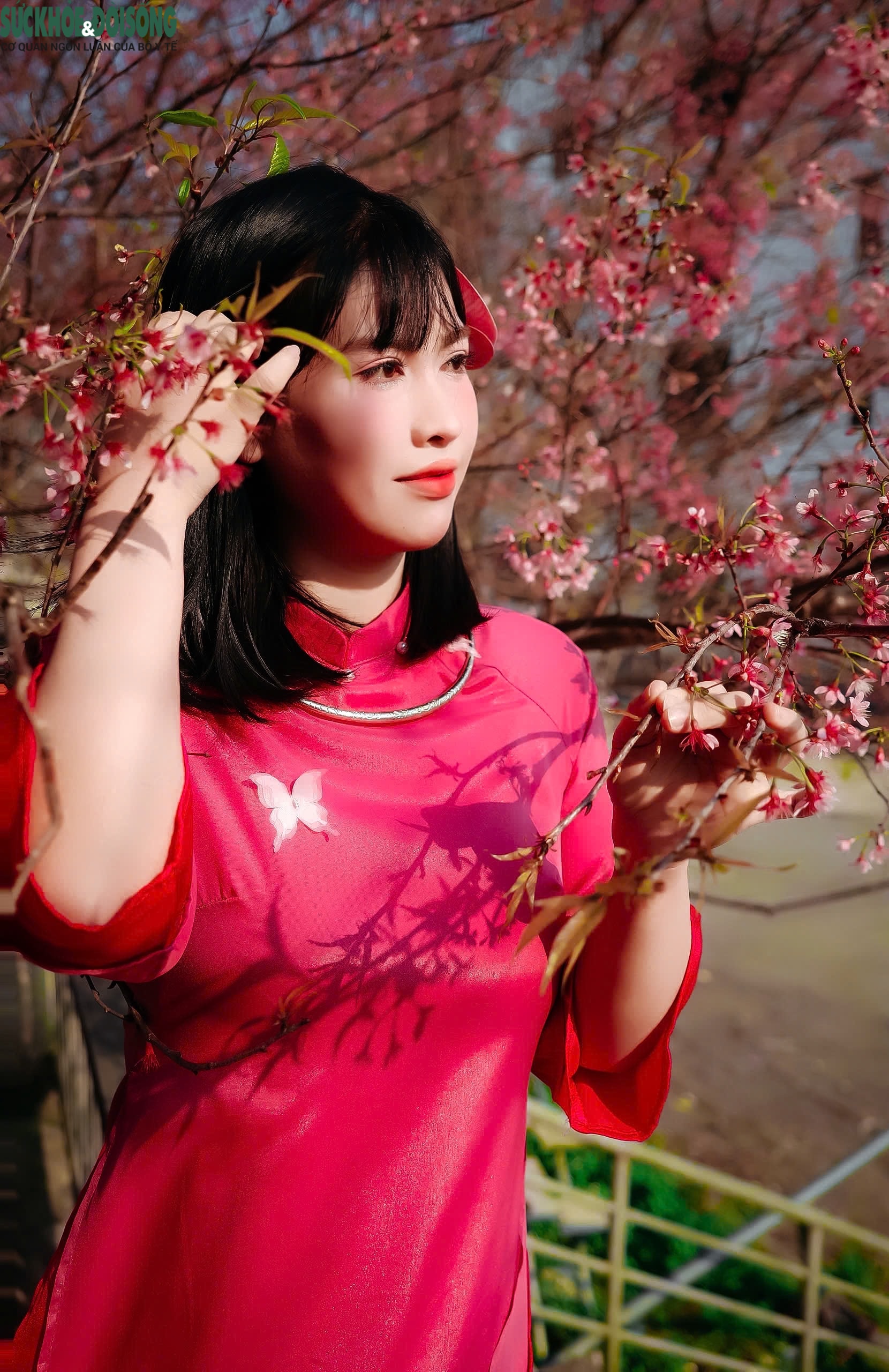 Xuân thức giấc trên cao nguyên đá Đồng Văn- Ảnh 7.