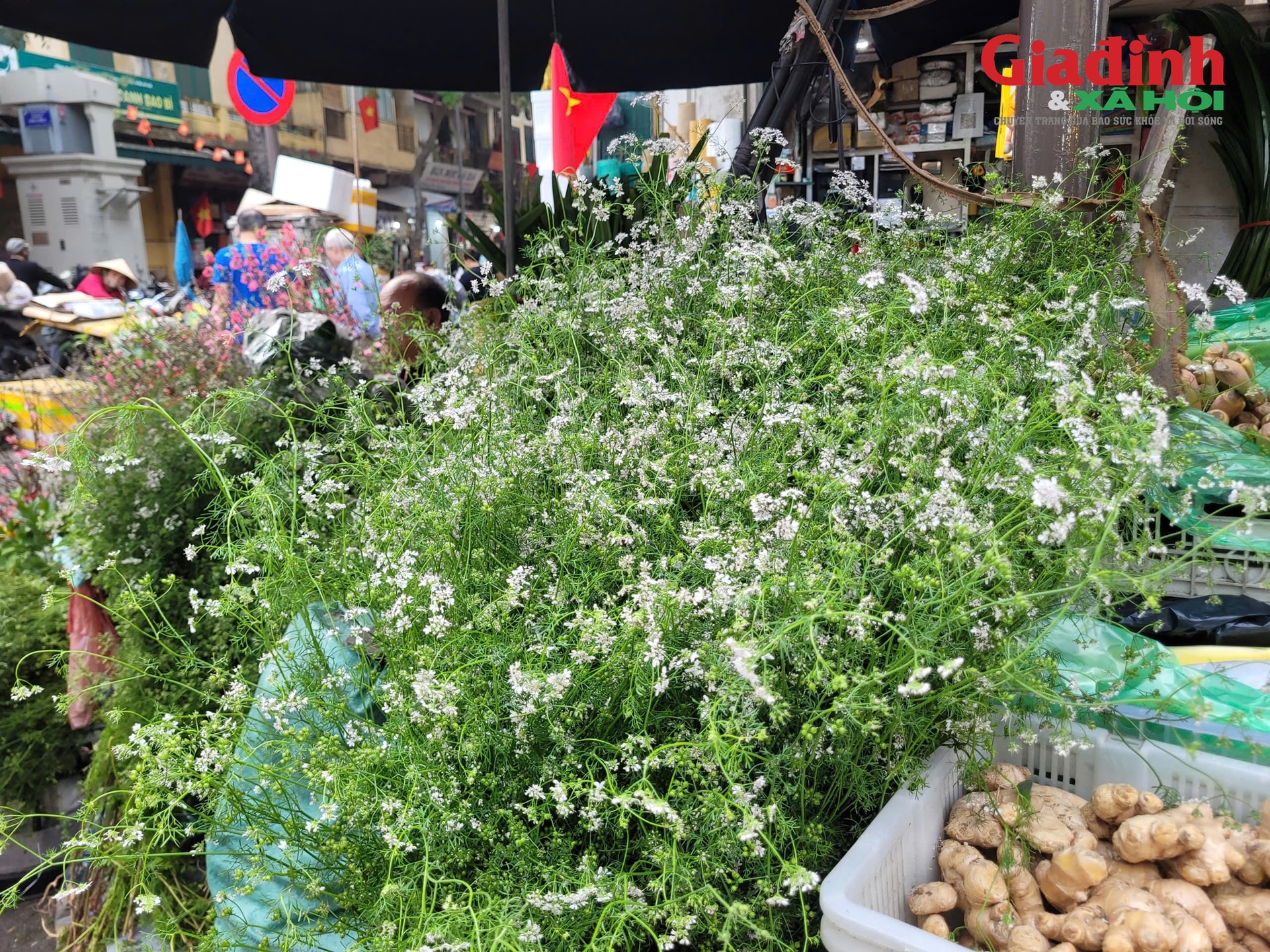 Giữ hương Tết xưa bằng nồi nước mùi già đầu năm, giá chỉ từ 20.000 đồng/bó- Ảnh 3.