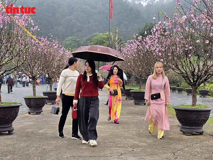 Khách thập phương đội mưa xuân vãn cảnh chùa Địa Tạng Phi Lai- Ảnh 1. Khách thập phương đội mưa xuân vãn cảnh chùa Địa Tạng Phi Lai- Ảnh 1.