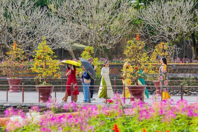 Di sản Huế 'khoác áo xuân' lộng lẫy, du khách quốc tế nườm nượp đổ về- Ảnh 12. Di sản Huế 'khoác áo xuân' lộng lẫy, du khách quốc tế nườm nượp đổ về- Ảnh 12.