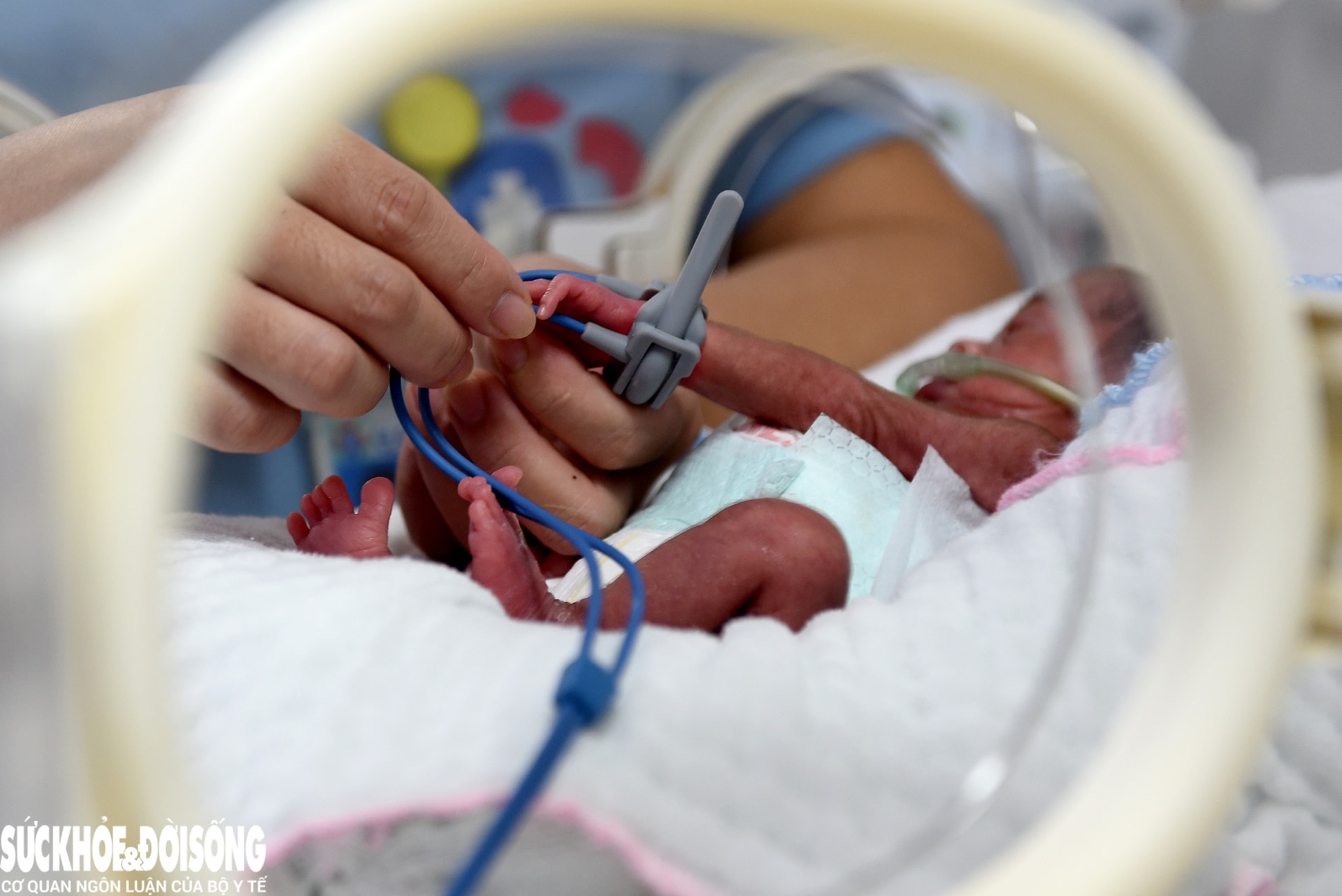 Sinh linh 500 gram nằm yên trong lồng kính, khởi đầu sự sống bằng kiên cường. Sinh linh 500 gram nằm yên trong lồng kính, khởi đầu sự sống bằng kiên cường.