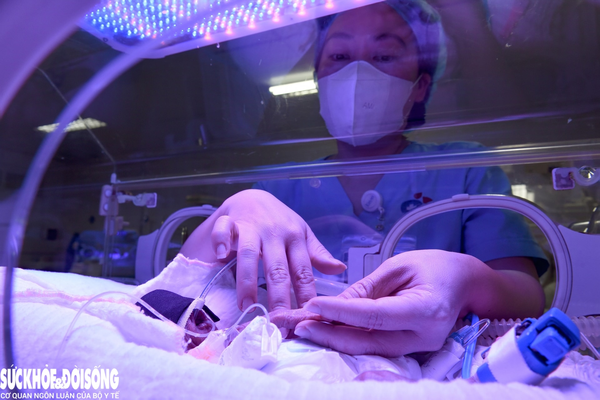 Những “chiến binh nhí” được chăm sóc trong lồng kính. Những “chiến binh nhí” được chăm sóc trong lồng kính.