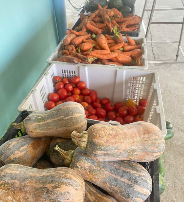 Cận cảnh động vật quý hiếm ‘ăn Tết’- Ảnh 1.