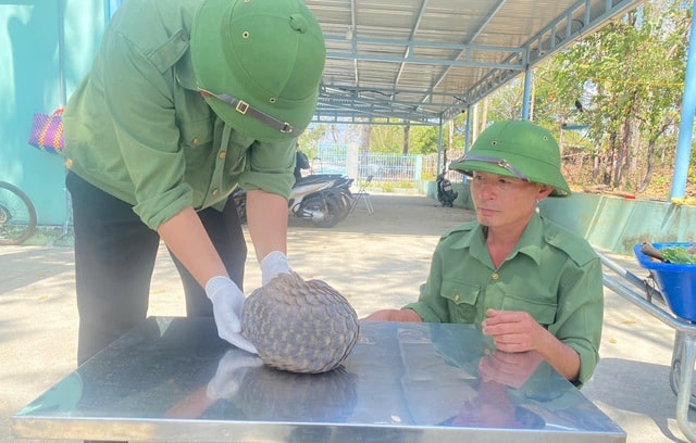 Cận cảnh động vật quý hiếm ‘ăn Tết’- Ảnh 2.