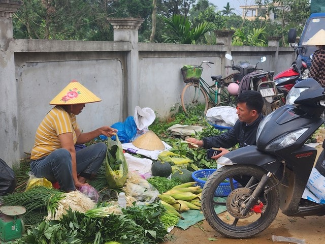 Du khách lên rừng, xuống biển cầu may đầu năm- Ảnh 3. Du khách lên rừng, xuống biển cầu may đầu năm- Ảnh 3.