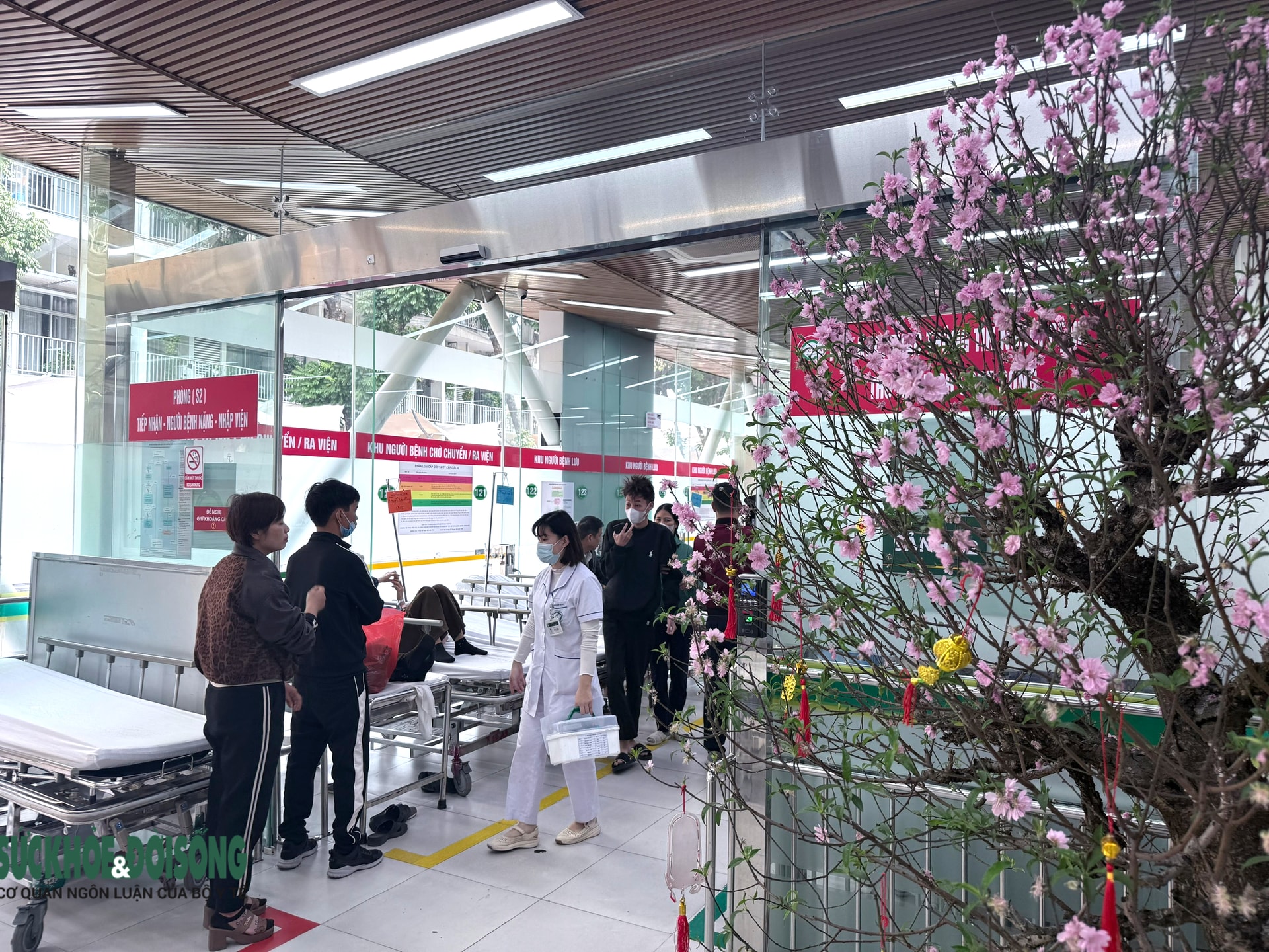 Hơn 510.000 lượt người bệnh khám, cấp cứu trong 8 ngày Tết- Ảnh 2. Hơn 510.000 lượt người bệnh khám, cấp cứu trong 8 ngày Tết- Ảnh 2.