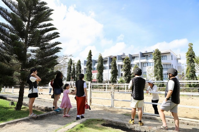 Du khách xếp hàng chờ cưỡi ngựa cầu may Tết Bính Ngọ- Ảnh 3.