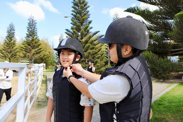 Du khách xếp hàng chờ cưỡi ngựa cầu may Tết Bính Ngọ- Ảnh 4.