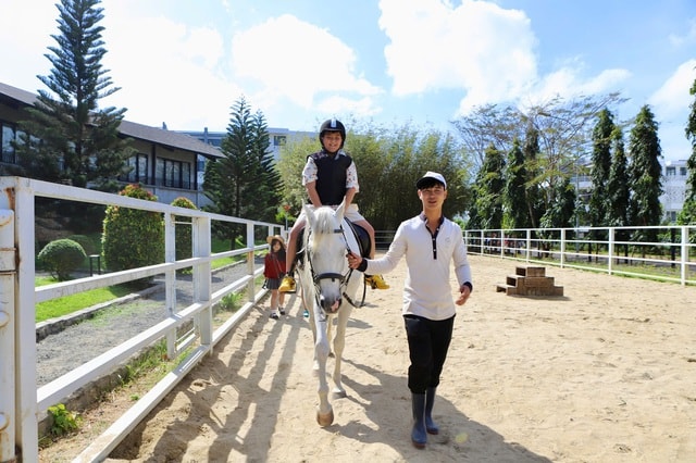 Du khách xếp hàng chờ cưỡi ngựa cầu may Tết Bính Ngọ- Ảnh 5.