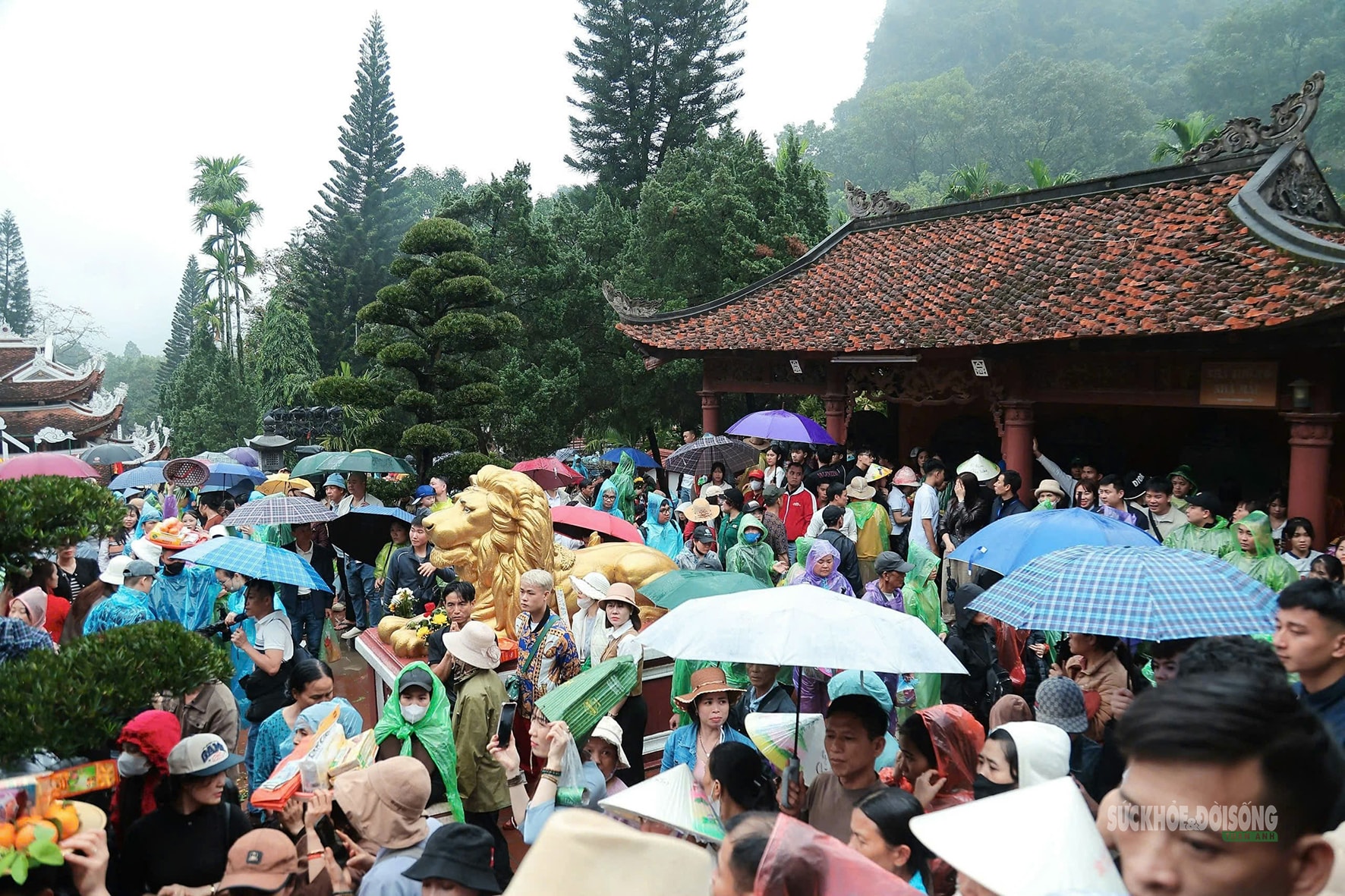 Lễ hội Chùa Hương - Lễ hội lớn nhất miền Bắc chính thức khai hội- Ảnh 9.