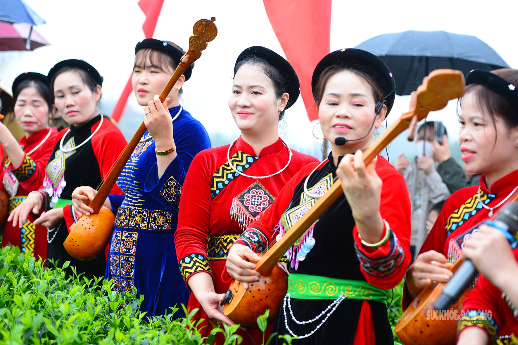 Vui hái chè dưới tiếng đàn Tính giữa đất trời ATK- Ảnh 1.