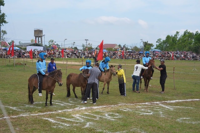Hàng ngàn người dân thích thú xem nông dân trổ tài đua ngựa- Ảnh 3. Hàng ngàn người dân thích thú xem nông dân trổ tài đua ngựa- Ảnh 3.