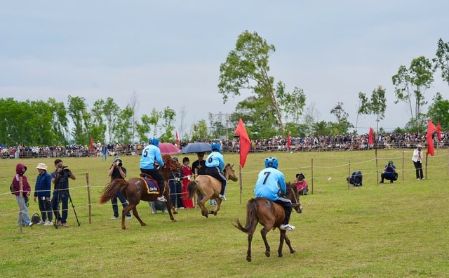 Hàng ngàn người dân thích thú xem nông dân trổ tài đua ngựa- Ảnh 5. Hàng ngàn người dân thích thú xem nông dân trổ tài đua ngựa- Ảnh 5.