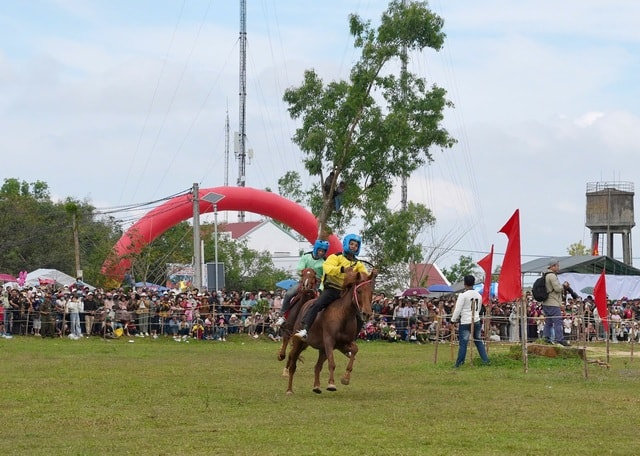 Hàng ngàn người dân thích thú xem nông dân trổ tài đua ngựa- Ảnh 6. Hàng ngàn người dân thích thú xem nông dân trổ tài đua ngựa- Ảnh 6.